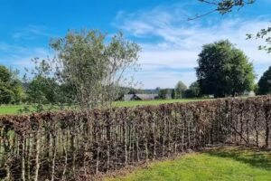 Auf Emilies Bauernhof