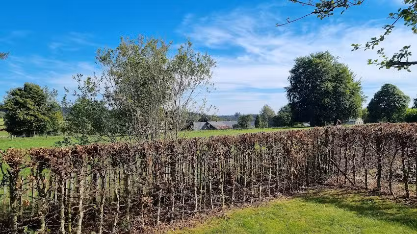 &Agrave; la ferme d&rsquo;&Eacute;milie