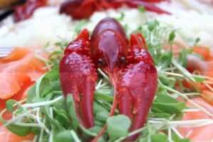 Bohnen & Gemüse Catering