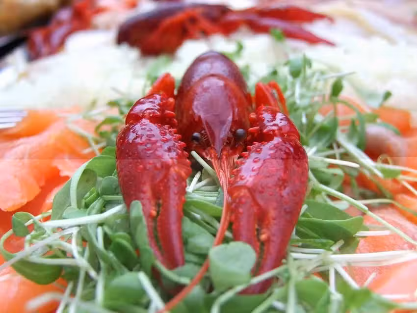 Beans & Greens Catering