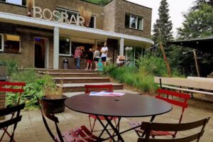 Bosbar Kalmthoutse Heide