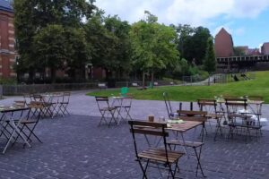 Bouillon de culture de sésame