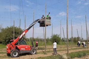 Brasserie Coopérative Liégéenne Scrl Fs