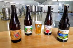 Brasserie Nectar Bohème