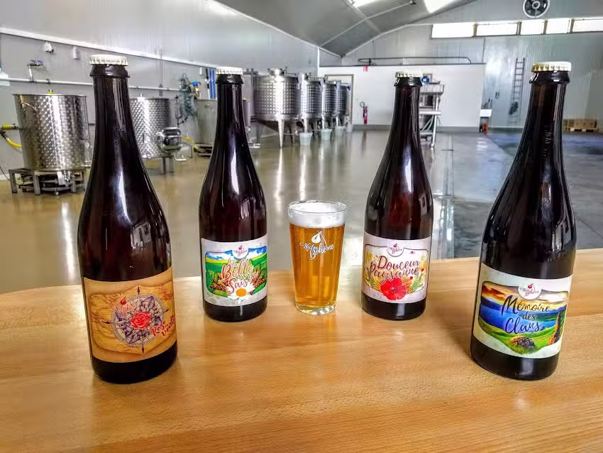 Brasserie Nectar Bohème