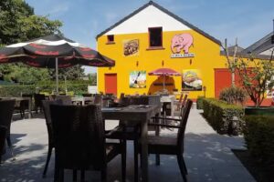 Die Herren von Liedekercke