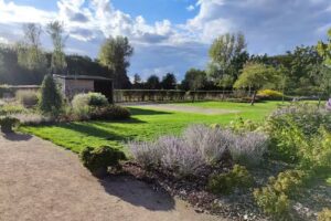 Dominique Schepmans Groencreaties