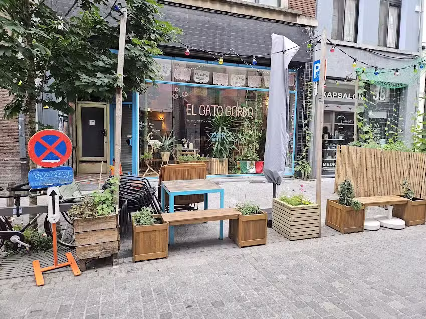 El Gato Gordo 🇲🇽