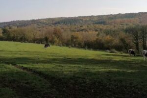 Ferme Ghyse Christelle