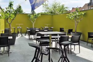 Friteuse Red Rooster Fast Food