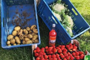 Légumes et fruits Leen et Rik