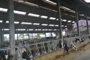 Ferme &lsquo;t Alkeveld