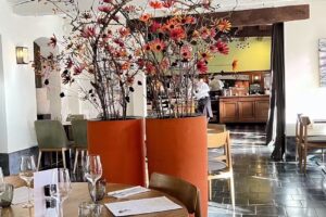 Dans l&rsquo;arbre tournant