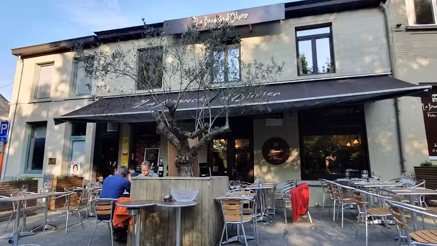 Der Zweig von Olivier