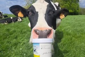 Le Cense des Hirondelles