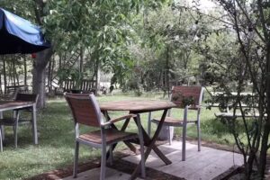 Der Cour des Saveurs