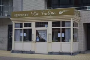 La tulipe