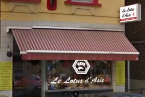 Le lotus de l&rsquo;Asie