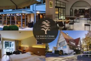 Le Vieux Cèdre (Enghien – Belgique)