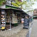 Leeuw van Vlaanderen