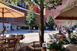 Der Fous von Brügge