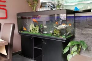 Les perles de Shanghai