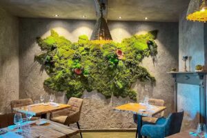 Les Pieds dans le Plat