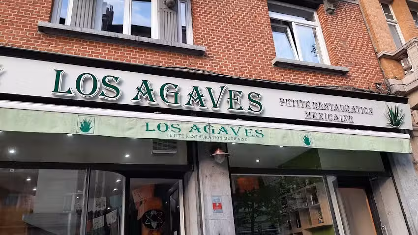 Les agaves