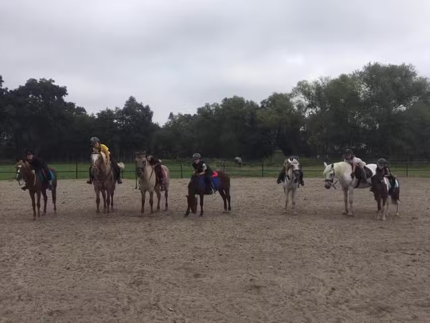 École d&rsquo;équitation Volmolen