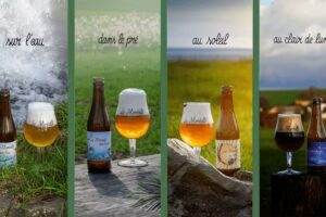 Micro-brasserie des coccinelles