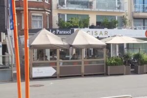 Parasol