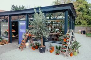Stera Brugge | Specialty Coffee & Bar | Plant shop