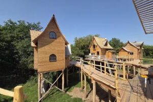 Cabanes dans les arbres près de Mont-des-Pins