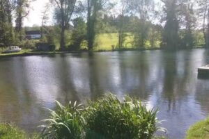 Fischteiche des Berges