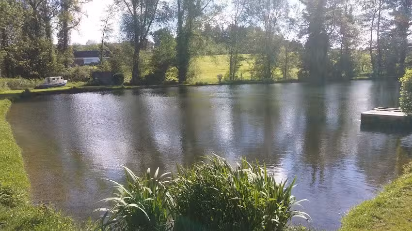 Fischteiche des Berges