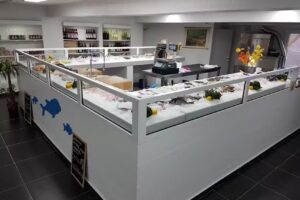 Zuiver op de graat BV